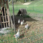 Haus Am Wiesenrain Διαμέρισμα Leutasch