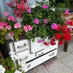 Haus Am Wiesenrain Διαμέρισμα *