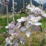 Haus Am Wiesenrain Διαμέρισμα