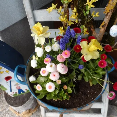 Apartament Haus Am Wiesenrain