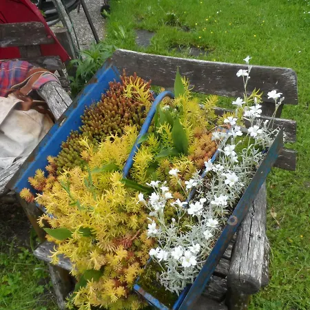 Haus Am Wiesenrain Leutasch