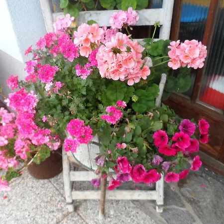 Haus Am Wiesenrain Leutasch