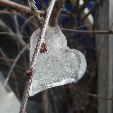 Apartament Haus Am Wiesenrain