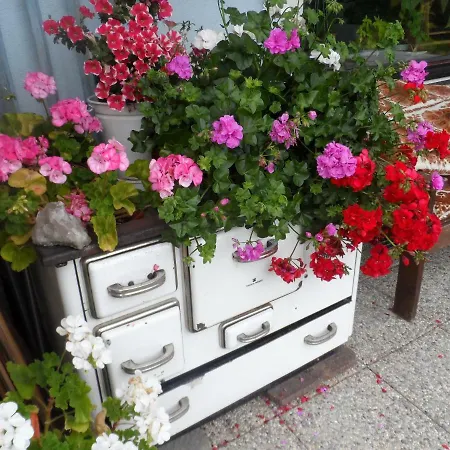 Haus Am Wiesenrain Apartament *