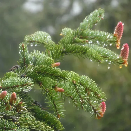 Apartament Haus Am Wiesenrain Leutasch