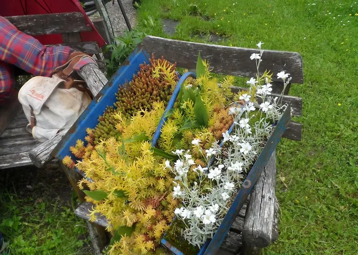 Haus Am Wiesenrain Leutasch