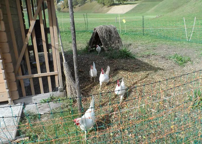 Haus Am Wiesenrain Appartement Leutasch
