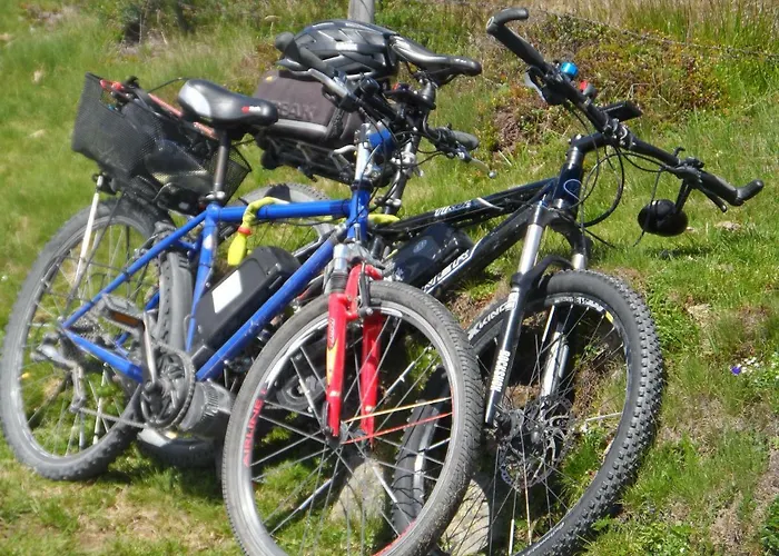 Haus Am Wiesenrain *