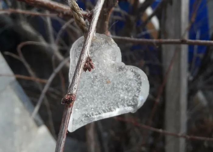 Appartement Haus Am Wiesenrain