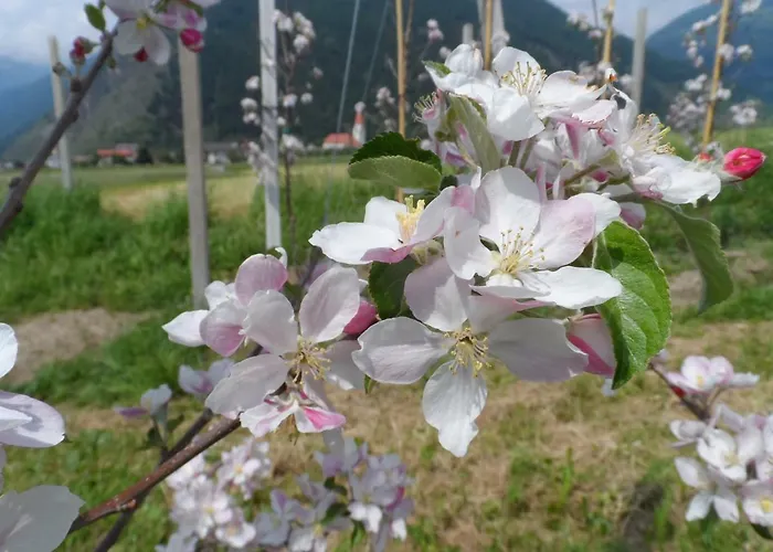 Haus Am Wiesenrain Appartement