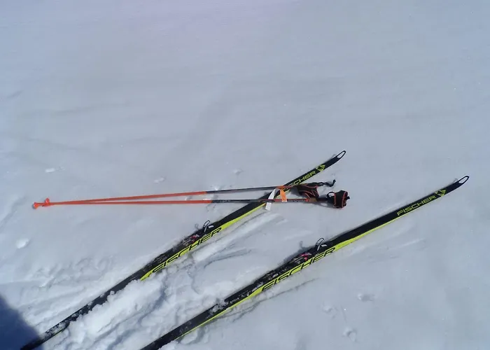 Haus Am Wiesenrain * Leutasch