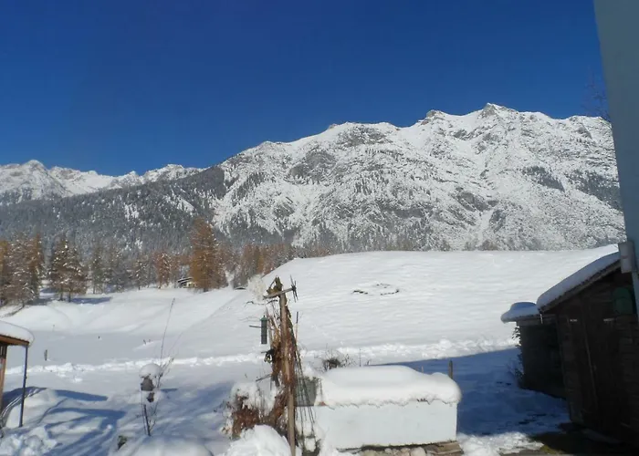 هاوس أم فيسينريين لوتاش