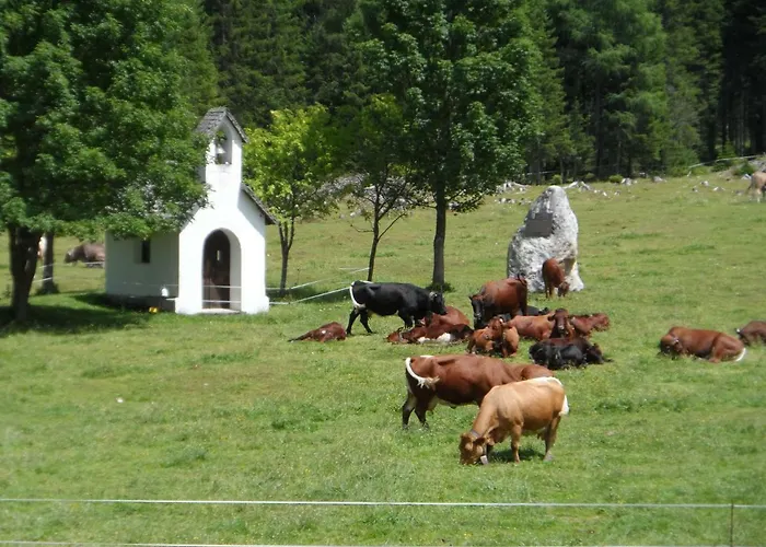 Haus Am Wiesenrain * Leutasch