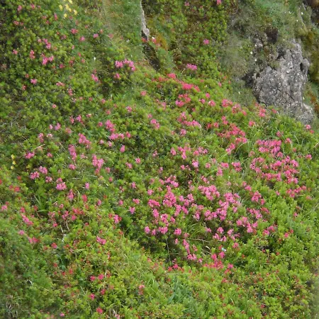 Appartamento Haus Am Wiesenrain *