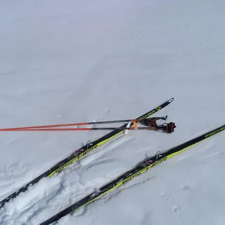 Haus Am Wiesenrain * Leutasch